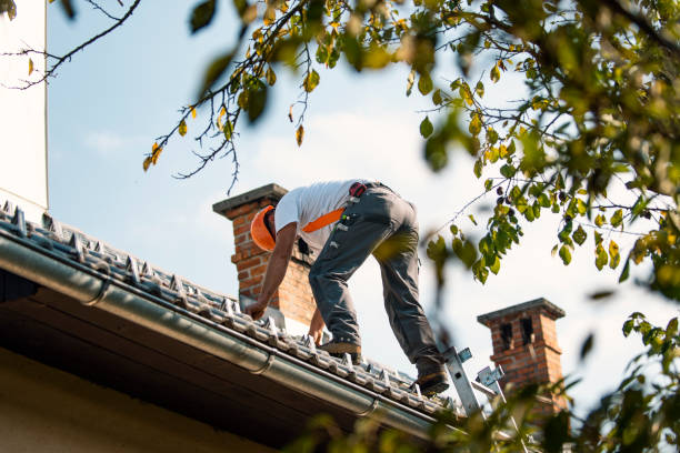 Best Residential Roofing Contractor  in Dallesport, WA