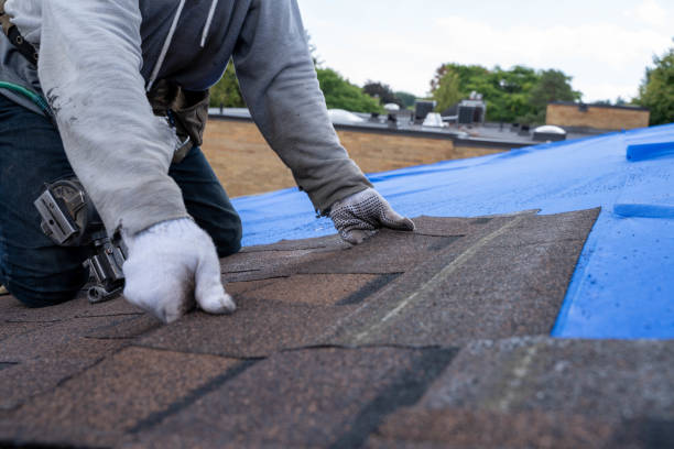 Best Residential Roofing Contractor  in Dallesport, WA